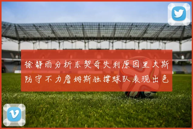 徐静雨分析东契奇失利原因里夫斯防守不力詹姆斯独撑球队表现出色