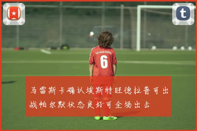马雷斯卡确认埃斯特旺德拉普可出战帕尔默状态良好可全场出击