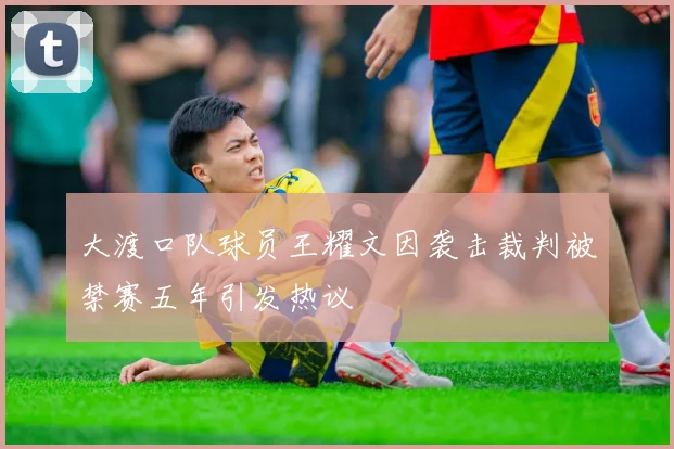 大渡口队球员王耀文因袭击裁判被禁赛五年引发热议