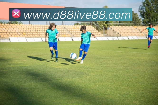 d88尊龙z6服务体系